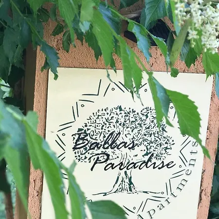 Ballas Paradise Messonette רודה
